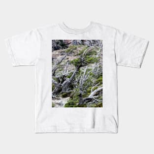 Windswept Woodland Kids T-Shirt